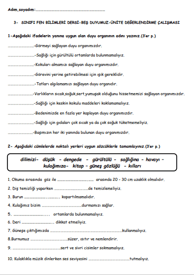 3. Sınıf Fen Bilimleri Beş Duyumuz Tema Değerlendirme