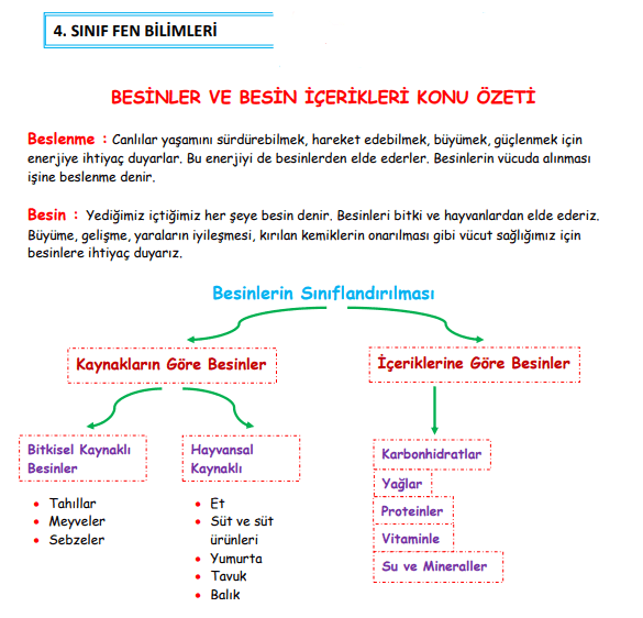 BESİNLER VE BESİN İÇERİKLERİ KONU ÖZETİ