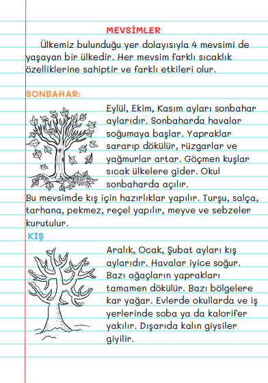 1. Sınıf Hayat Bilgisi Mevsimler Konu Anlatımı Ve Etkinliği