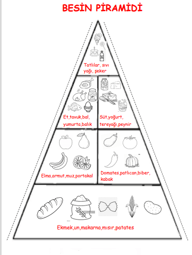Besin Piramiti Deftere Yapıştırma