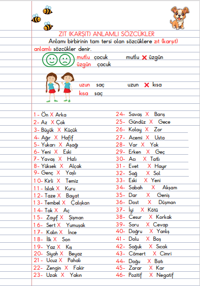 2. Sınıf Türkçe Zıt Anlamlı Kelimeler Defter Notu