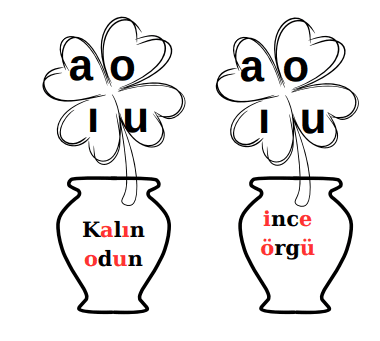 3. Sınıf Türkçe Kalın ,ince ünlüler deftere yapıştırma etkinliği