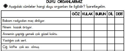 3. Sınıf Duyu Organlarımız Etkinliği Çalışma Sayfası 