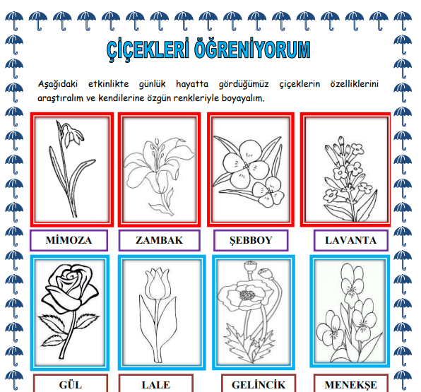 Çiçekleri Öğrenelim Eğlenceli Boyama Etkinliği