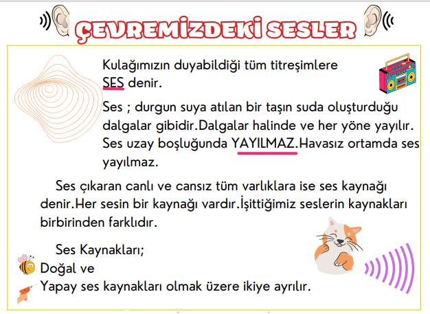 3. Sınıf Çevremizdeki Sesler Konu Anlatımı