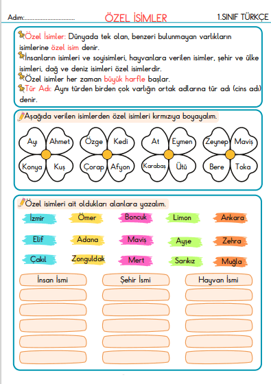 1. Sınıf Türkçe Özel İsimler Etkinliği