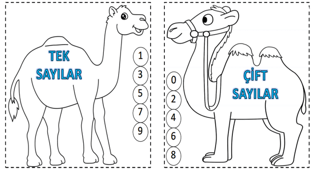 3. Sınıf TEK VE ÇİFT SAYILAR İNTERAKTİF DEFTER ÇALIŞMASI