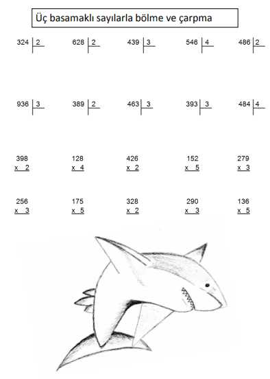 3. Sınıf Matematik Bölme Ve Çarpma  İşlemi Alıştırmaları