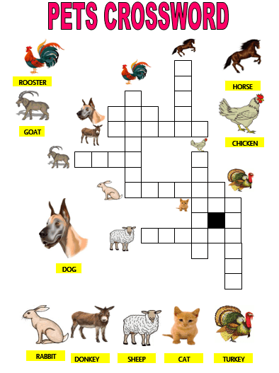 2. Sınıf İngilizce Pets Konusu İle İlgili Bulmaca Etkinlik Sayfası - Pets Crossword