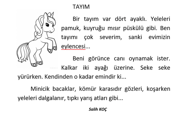 1. Sınıf Türkçe Tayım Okuma Anlama Metni