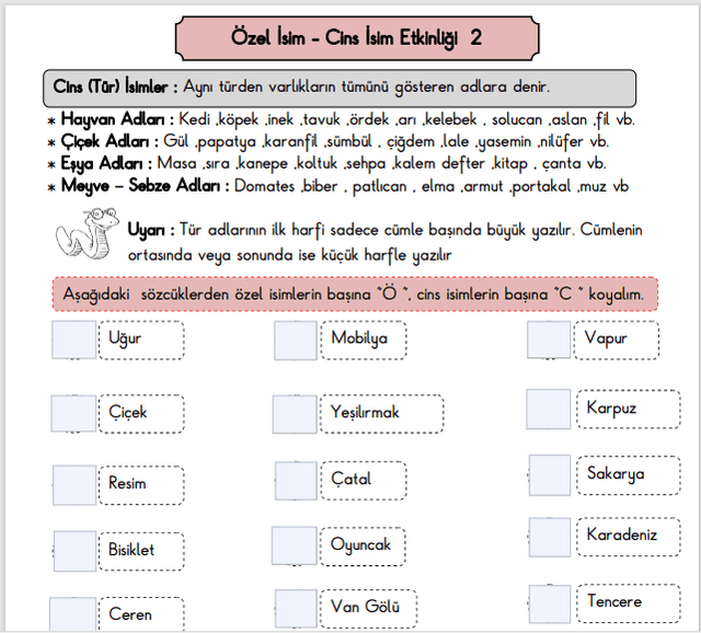 3. Sınıf Özel İsim Ve Cins İsim Etkinliği