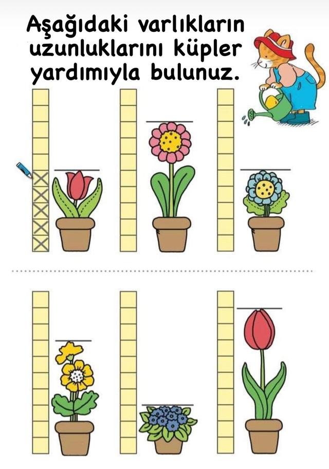 1. Sınıf Matematik Uzunlukları Ölçme Etkinliği