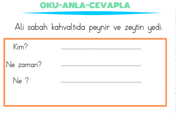 1. sınıf oku anla ve cevapla etkinliği 