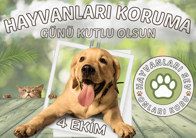 4 Ekim Hayvanları Koruma Günü Afiş 