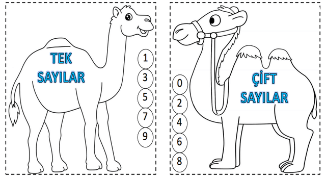 3. Sınıf TEK VE ÇİFT SAYILAR İNTERAKTİF DEFTER ÇALIŞMASI