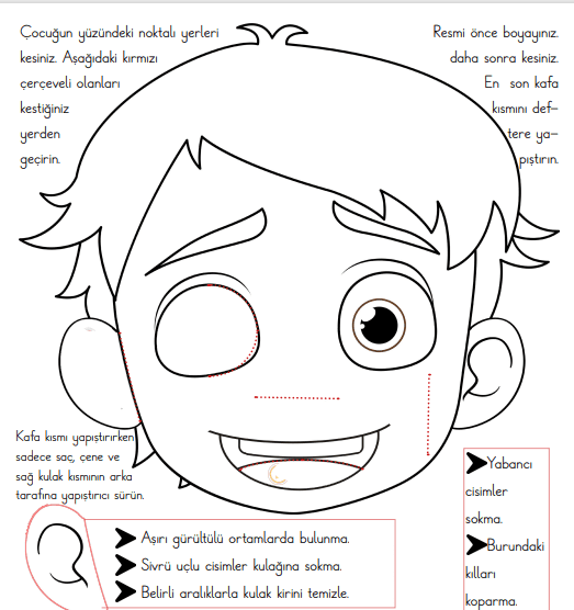 3. Sınıf Fen Bilimleri - 5 Duyumuz interaktif defter etkinliği