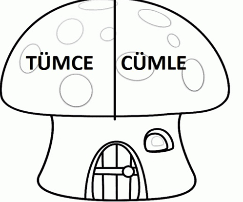 Eş Anlamlı Kelimeler Pano Mantar Renksiz