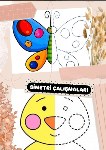 2. Sınıf Matematik Simetri Çalışmaları 